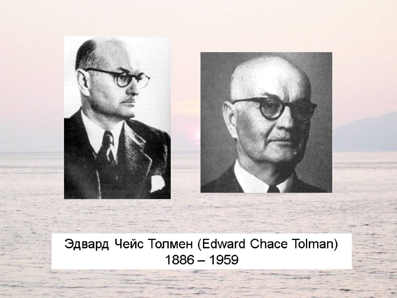 Эдвард Чейс Толмен (Edward Chace Tolman) 1886 – 1959